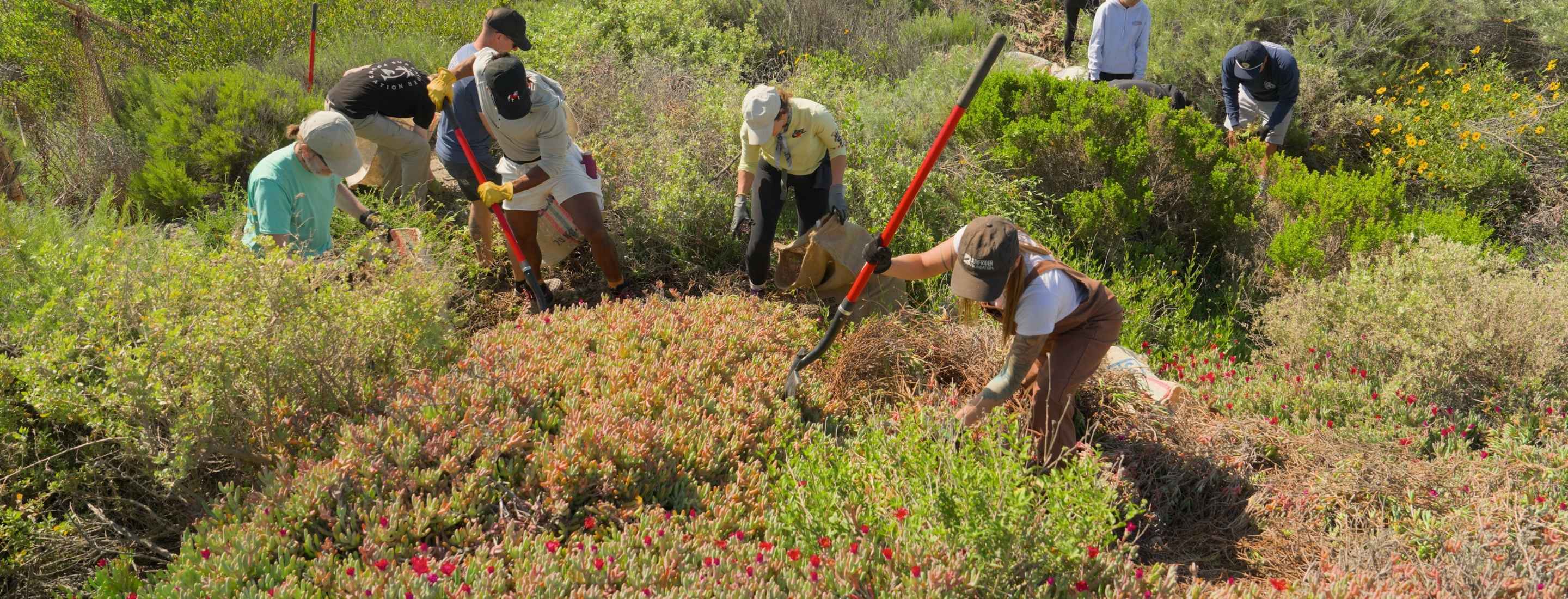 World Surf League x Surfrider — 2025 Trestles Restoration